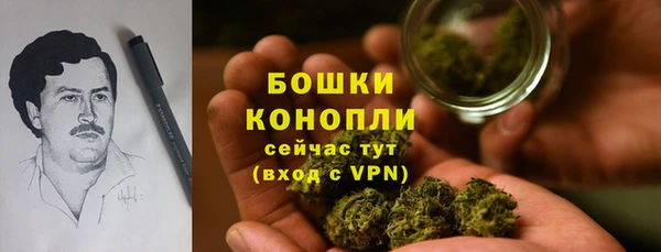 прущие грибы Белокуриха