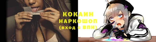 прущие грибы Белокуриха