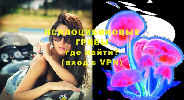 прущие грибы Белокуриха