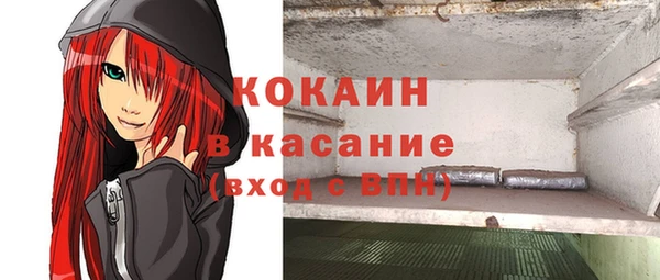 прущие грибы Белокуриха