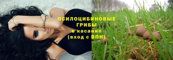 прущие грибы Белокуриха