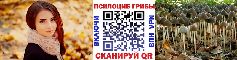 Псилоцибиновые грибы Psilocybe  Ростов-на-Дону 